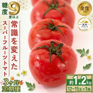 先行予約【定期便 3ヶ月】スーパーフルーツトマト 約1.2kg × 1箱  トマト 2027年産