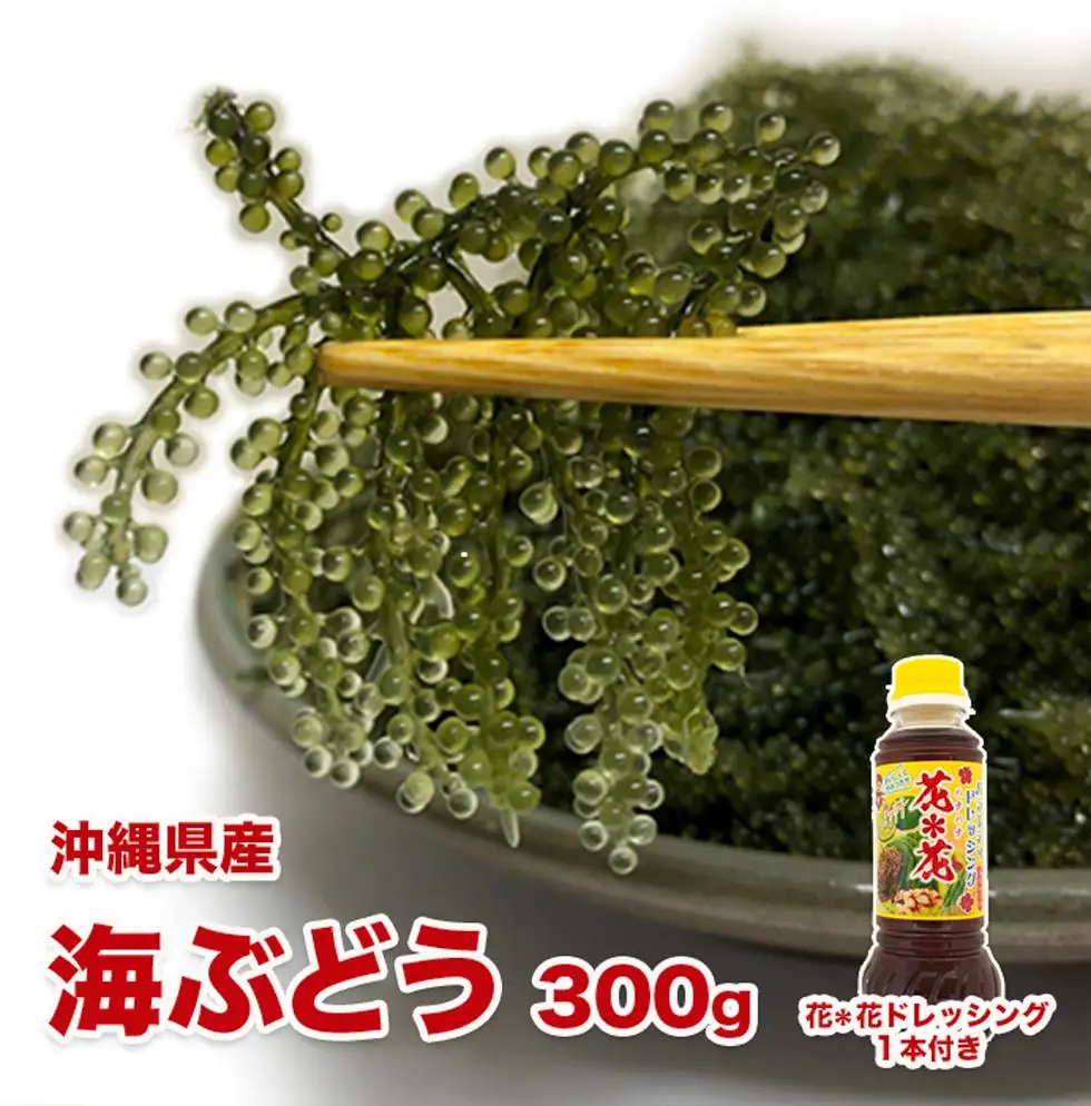新鮮！海ぶどう300g 