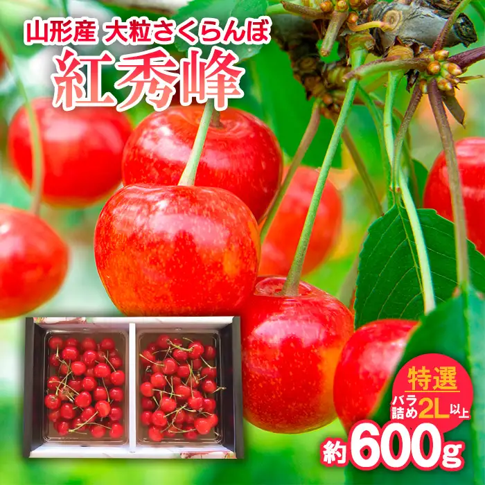 山形産 大粒さくらんぼ 紅秀峰 特選 バラ詰め 2L以上 約600g 【令和9年産先行予約】FS25-710 くだもの 果物 フルーツ 山形 山形県 山形市 2027年産
