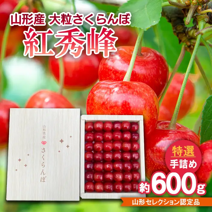 山形産 大粒さくらんぼ 紅秀峰 特選 手詰め 約600g 山形セレクション認定品 【令和9年産先行予約】FS25-715 くだもの 果物 フルーツ 山形 山形県 山形市 2027年産