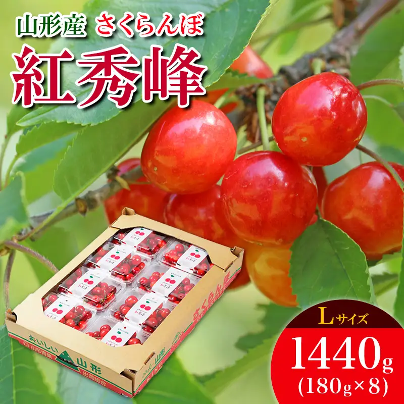 さくらんぼ 紅秀峰 L 1440g(180g×8) 【令和9年産先行予約】FS25-537