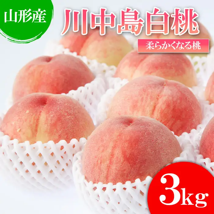  【白桃】川中島白桃 3kg(6～12玉)[柔らかくなる桃] 【令和8年産先行予約】FU22-783 くだもの 果物 フルーツ 山形 山形県 山形市 2026年産
