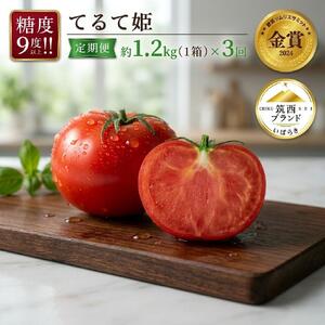【 先行予約 】【 3ヶ月 定期便 】 トマト てるて姫 中箱 約1.2kg × 1箱 【12~15玉/1箱】 2027年産