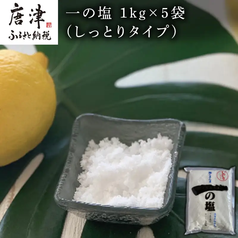 唐津 一の塩 1kg×5袋 (しっとりタイプ)