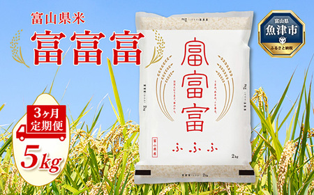 【令和8年度米】【3ヶ月定期便】富山県産米「富富富」5kg（精米）｜3ヶ月定期便 3回 3ヶ月 富富富 ふふふ こめ コメ お米 おこめ 白米 精米 ブランド米 雪解け水 冷めても 美味しい おにぎり お弁当 高品質 魚津市