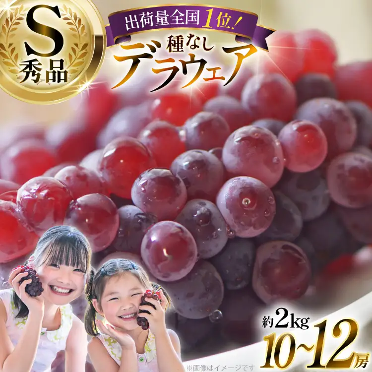 【期間限定発送】 ぶどう デラウェア 秀品 10～12房 約 2kg