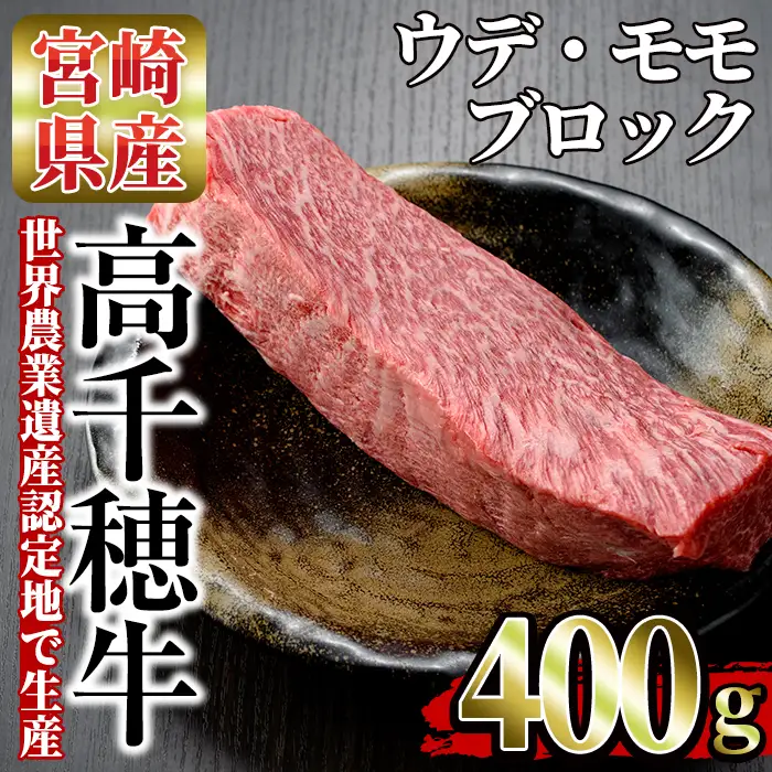 高千穂牛 ウデ・モモブロック(400g)【MT007】【JAみやざき 高千穂牛ミートセンター】