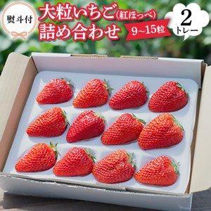 ＜熨斗付＞ 紅ほっぺ いちご 詰合せ デラックス (大粒いちご9?15粒入り)×2トレーセット【令和3年12月中旬より順次発送】
