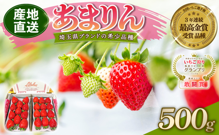 【予約】あまりん 苺 500g 全国いちご選手権 3年連続最高金賞 (250g×2P) 苺