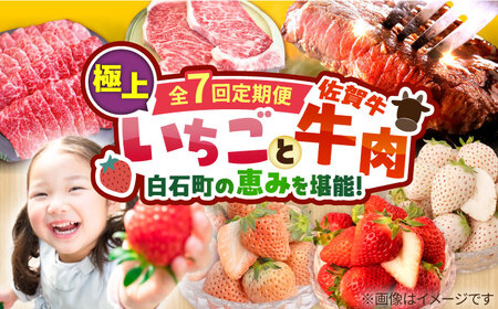 【先行予約 2027年1月～発送】【7回定期便】いちごと牛肉の極上定期便 / いちご 牛肉 [IZZ014]