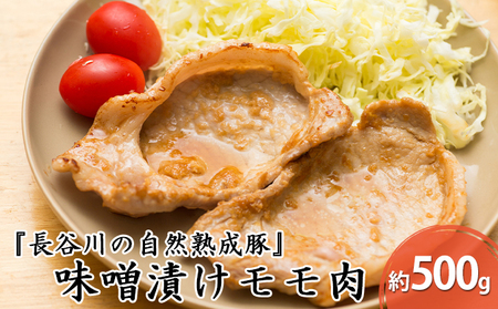 味噌漬け もも肉 500g コクのある旨味とジューシーさが特徴 長谷川の自然熟成豚 簡単調理 豚 ぶた ブタ 豚肉 肉 お肉 しゃぶしゃぶ しゃぶしゃぶ用 しゃぶしゃぶ用肉 モモ肉 味付き肉 味付け肉 青森 青森県 鯵ヶ沢町 