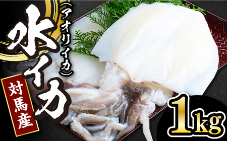 【 対馬産 】 水 イカ （ アオリイカ ） 生 冷凍 1kg [WAB006] 下処理 塩焼き あおりいか アオリイカ