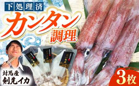 【対馬産】 剣先 イカ（ 生 冷凍 ）3枚刺身 塩辛 [WAB003] 刺身 剣先いか あかいか まるいか