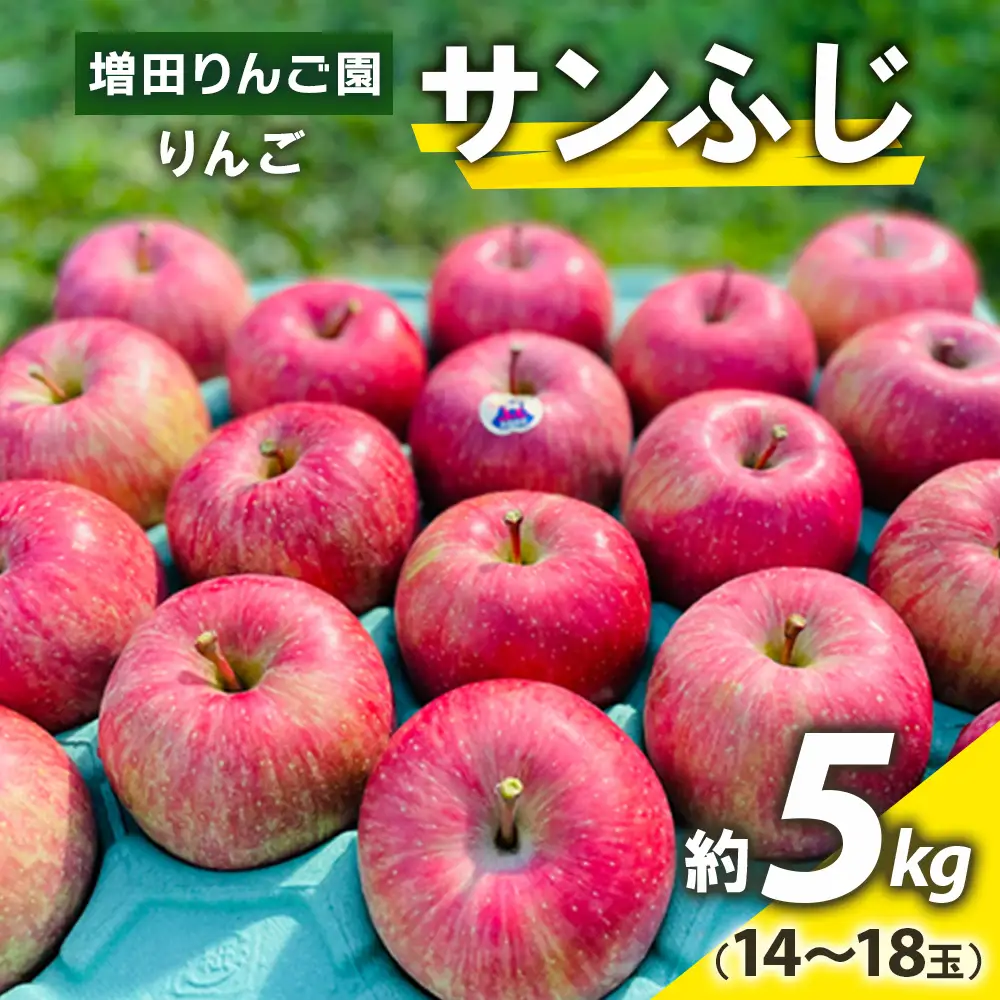 りんご サンふじ 約5kg (14玉から18玉) 青森産 つがる市【2026年11月下旬より順次発送】 [0991]