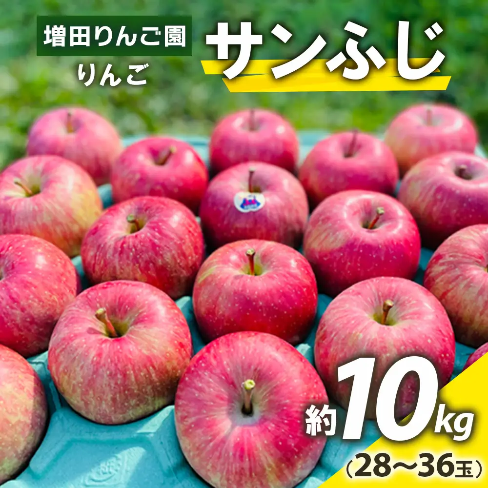 りんご サンふじ 約10kg (28玉から36玉) 青森産 つがる市【2026年11月下旬より順次発送】 [0992]