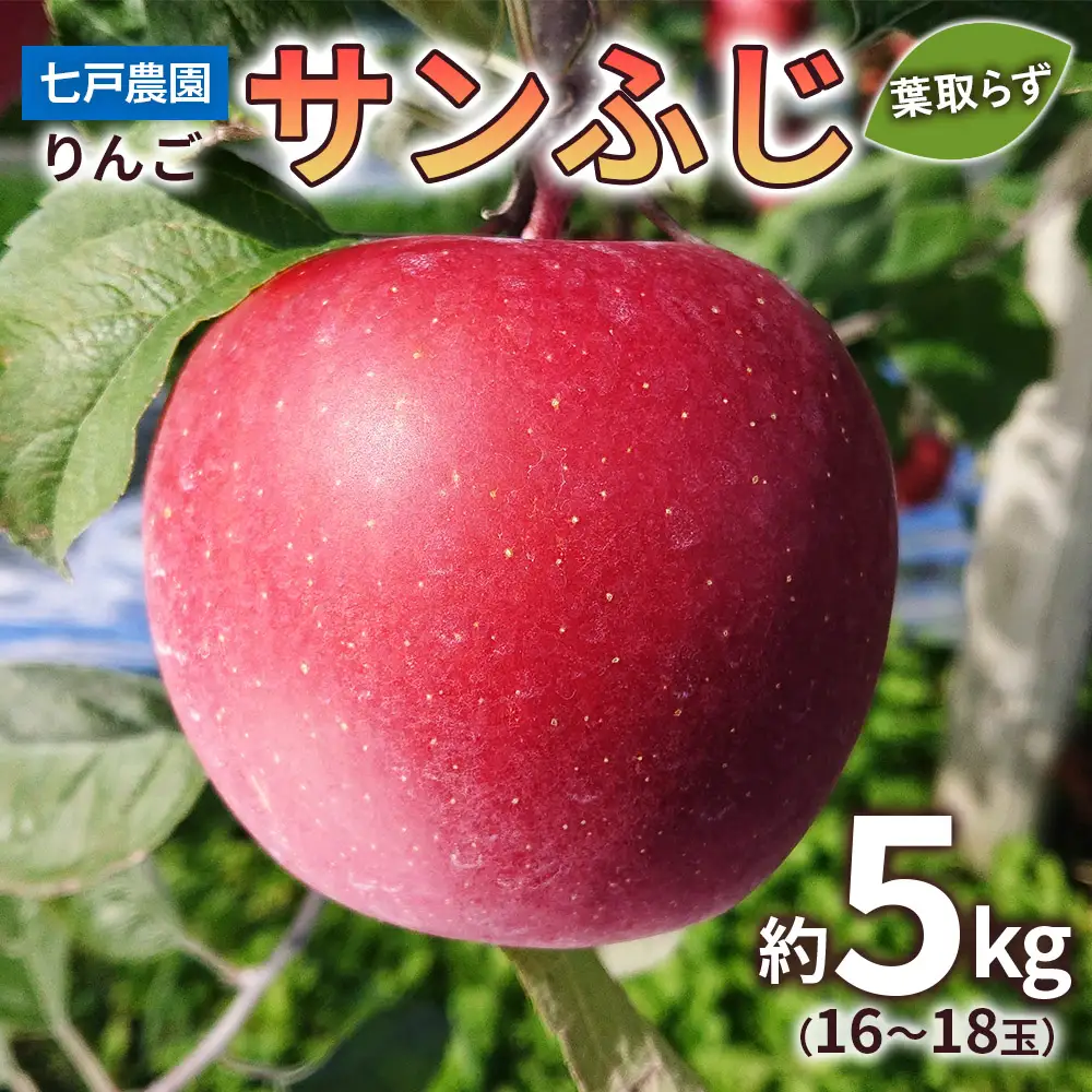 りんご サンふじ 葉取らず 約5kg(16から18玉) 青森産 つがる市【2026年11月下旬より順次発送】 [0831]