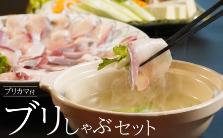 鮮度と味を閉じ込めた　ブリしゃぶセット（300g＋ブリカマ2食分付）