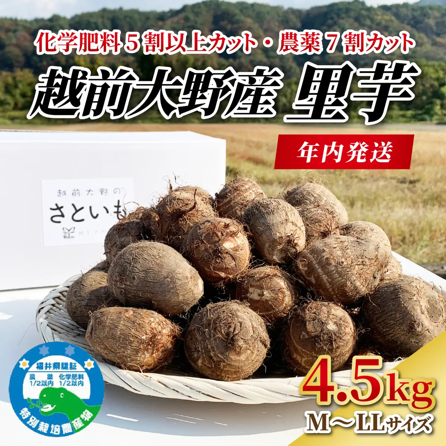 越前大野産 里芋【11月上旬頃から順次発送】 4.5kg 土付里芋 特別栽培 [A-008001]