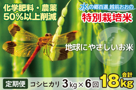 【令和8年産 新米】【6ヶ月定期便】こしひかり 3kg × 6回 計 18kg【白米】減農薬・減化学肥料「特別栽培米」－地球にやさしいお米－[B-003002]