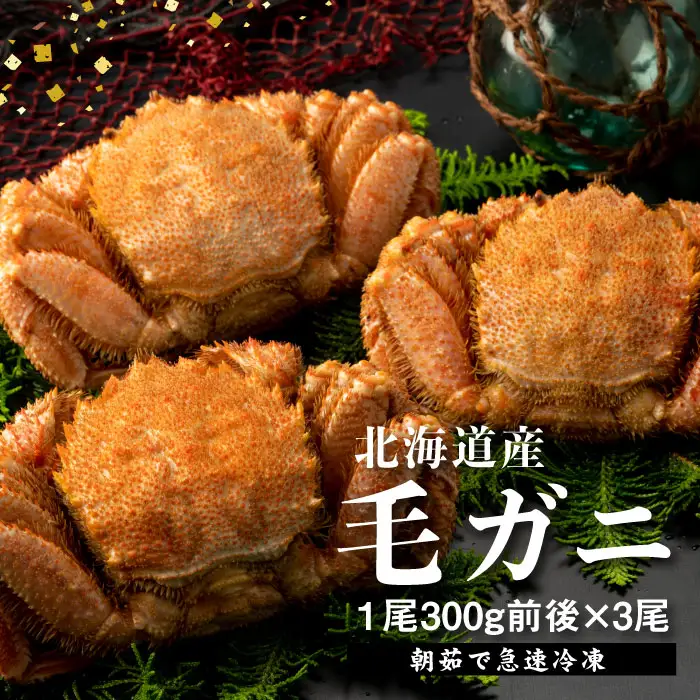 【北海道産】『冷凍』毛ガニ300g前後×3杯【急速冷凍】【52001402】