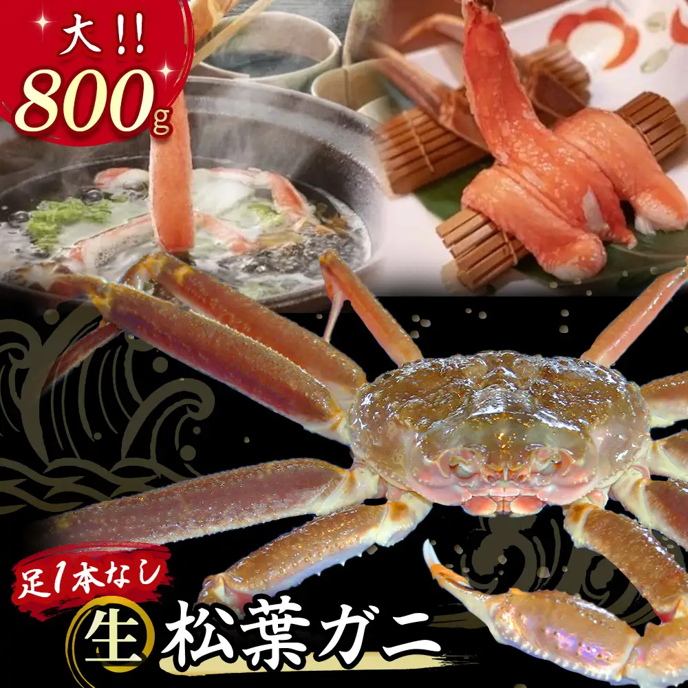 【先行予約】【魚倉】足１本なし 生 松葉ガニ （大800g） 訳あり 松葉ガニ