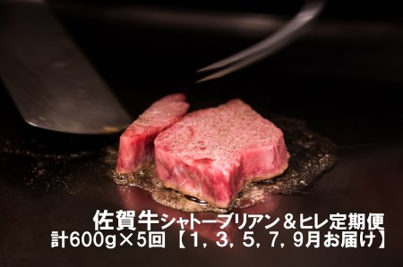 DP035_幻の部位！佐賀牛定期便①(1,3,5,7,9月お届け)佐賀牛シャトーブリアンステーキ２００ｇ(１枚で200ｇ)佐賀牛ヒレステーキ４００ｇ(２枚で400ｇ)総量約３㎏