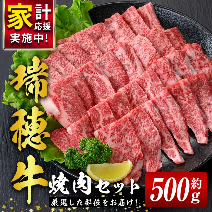 焼肉 セット 約500g 牛肉 【焼肉】【ho0858】