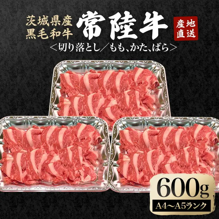 切り落としセット 約600g 国産 和牛 黒毛和牛【切り落とし】【ho0863】