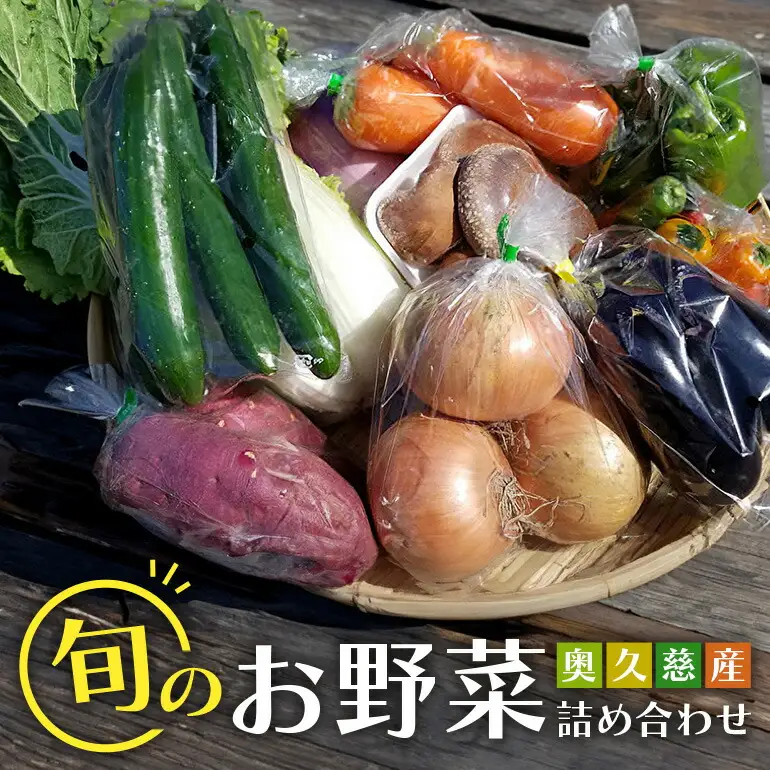 野菜 奥久慈産 旬の野菜詰め合わせ 季節 セット 【野菜】【ho0871】