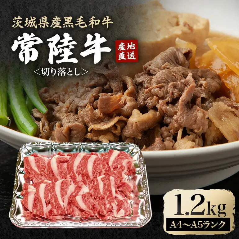 切り落とし 約1.2kg 牛肉 国産 小分け【切り落とし】【ho0904】