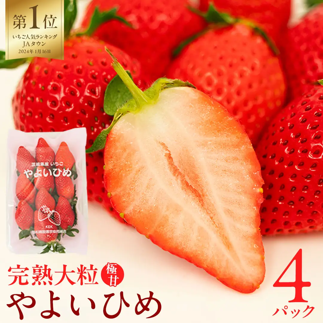 《 2027年 収穫分 》 完熟 やよいひめ 260g×4パック KEK 国産 いちご イチゴ 苺 くだもの 果物 フルーツ 冬 春 旬 [BC007sa]