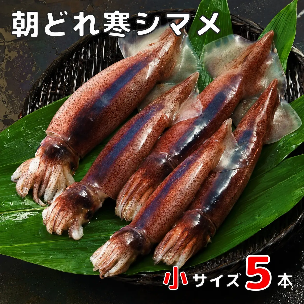 スルメイカ 160-200g×5 イカ