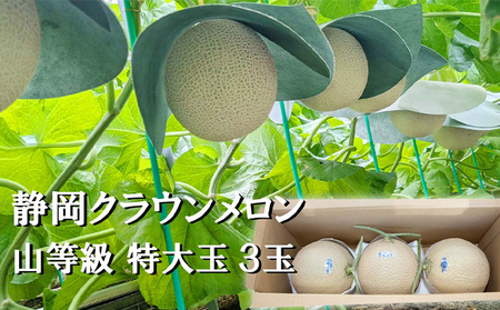 クラウンメロン【上（山等級）】特大玉（1.5kg前後）3玉入り 人気 厳選 ギフト 贈り物 デザート グルメ 果物 袋井市 果物類 メロン青肉 フルーツ