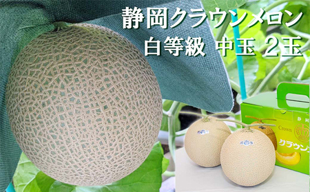 クラウンメロン【並（白等級）】中玉（1.3kg前後）2玉入り 人気 厳選 ギフト 贈り物 デザート グルメ 果物 袋井市 果物類 メロン青肉 フルーツ