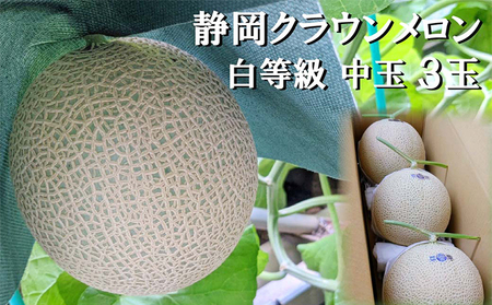 クラウンメロン【並（白等級）】中玉（1.3kg前後）3玉入り 人気 厳選 ギフト 贈り物 デザート グルメ 果物 袋井市 果物類 メロン青肉 フルーツ