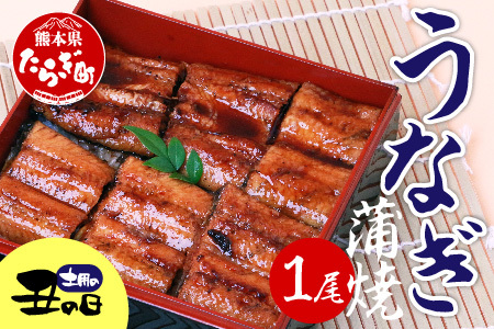 ＜ 鰻 ＞ うなぎの蒲焼 1尾（200g以上）オリジナル特製タレで味付け 冷凍【鰻 うなぎ ウナギ 土用 うしの日 蒲焼 かば焼き 】