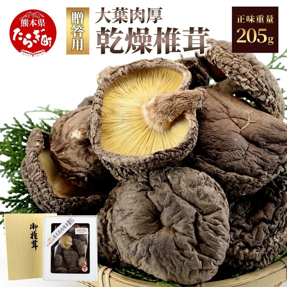 農林水産大臣賞 受賞 槻木 大葉厚肉 乾燥椎茸 205g 026-0025
