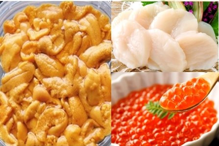 エゾバフンウニ塩水パック150g×1P、いくら醤油漬け(鱒卵)150g×1P、お刺身ホタテ貝柱500g×1P[11月下旬以降発送] E-53003