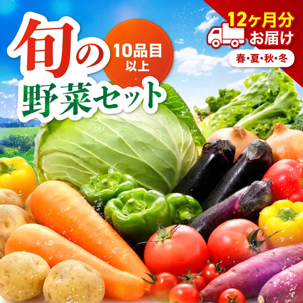 【定期便12回】【JA直売所直送】春夏秋冬野菜セット | 毎月届く 旬野菜 野菜 やさい ヤサイ 旬 セット 国産 国産野菜 定期 定期便 12回 大分県 中津市