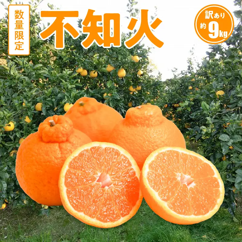 S086-007A_訳あり 不知火 約 9kg 数量限定〈先行予約〉