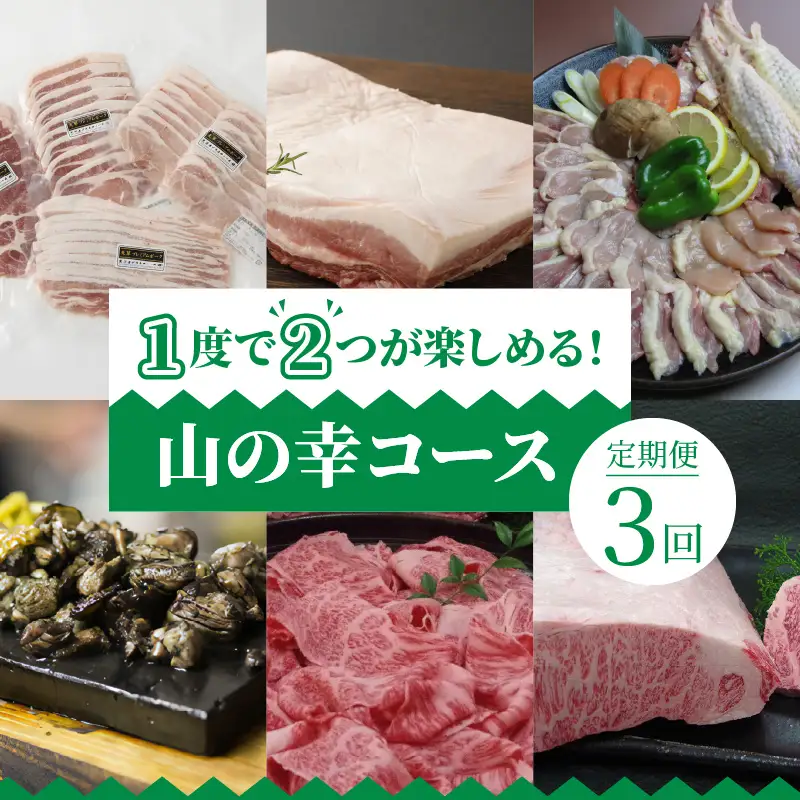 S999-T07_【定期便3回】1度で2つが楽しめる！山の幸コース