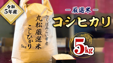 【数量限定】 令和5年産 つくばみらい市 ＜丸松＞ 厳選米 コシヒカリ 5kg 新生活 プレゼント 新生活応援 必要なもの 便利 おすすめ 消耗品 一人暮らし 二人暮らし 必要
