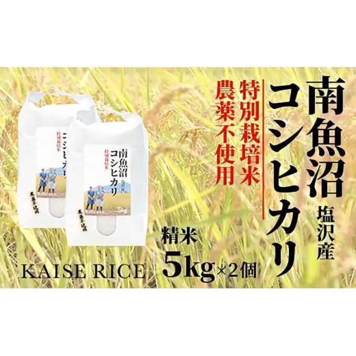 【令和8年産 新米】南魚沼産塩沢コシヒカリ【従来品種】（農薬不使用）精米５ｋｇ×２個