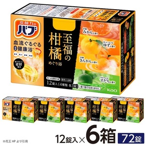 SA2996　花王バブ 至福の柑橘めぐり浴 12錠入×6箱