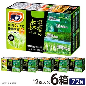 SA2997　花王バブ 至福の森めぐり浴 12錠入×6箱