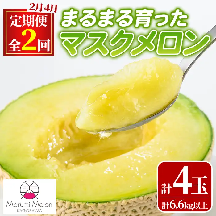 【0472212b】＜定期便・全2回(2月・4月)＞まるまる育ったマスクメロン(2玉×2回・計6.6kg以上) マスクメロン フルーツ 果物 果実 6キロ 数量限定 期間限定【まる美園芸組合】