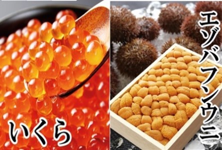 エゾバフンウニバラ詰め150g×1折、いくら醤油漬け(鱒卵)150g×1P[11月下旬以降発送] E-40022