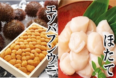 エゾバフンウニバラ詰め150g×1折、お刺身ホタテ貝柱500g×1P[11月下旬以降発送] E-40023