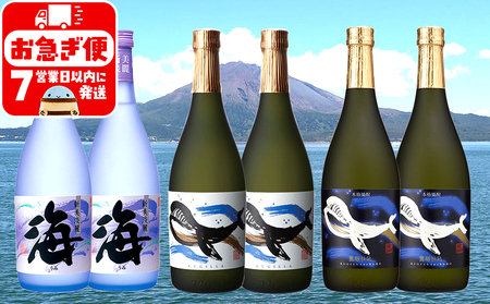 C3-25114／大海酒造 720ml 6本セット