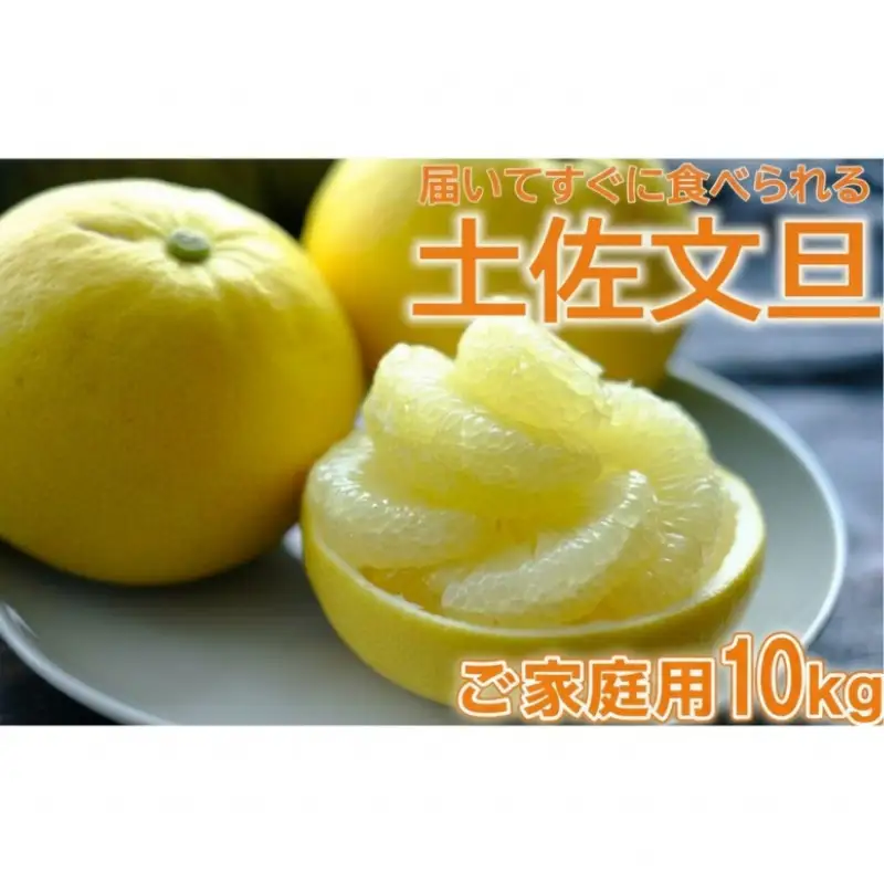 丸昭果樹園 土佐文旦 10kg 家庭用 文旦［1463-3］
